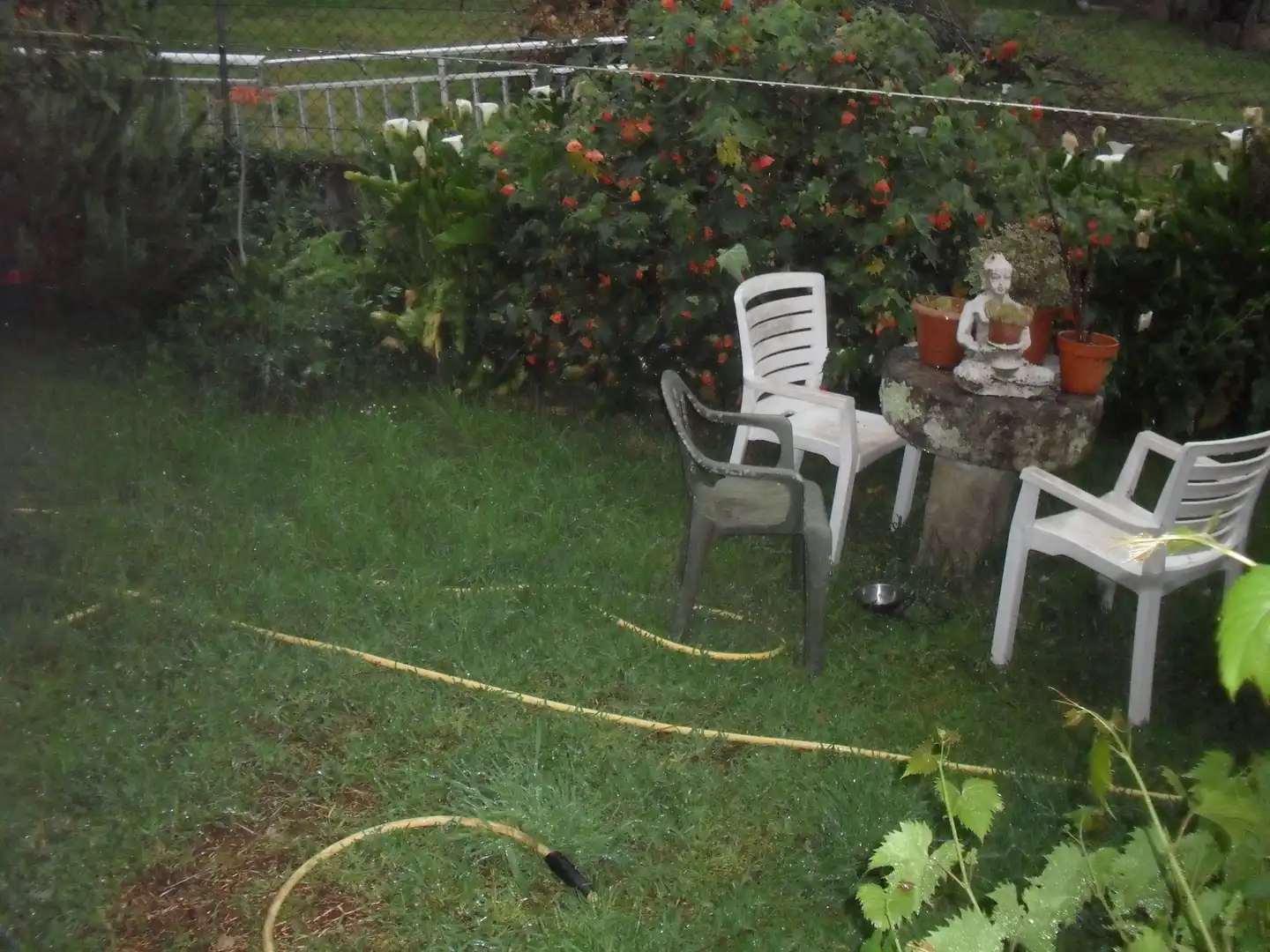 Jardí de Casa o xalet en venda en Vigo  amb Jardí privat, Terrassa i Balcó