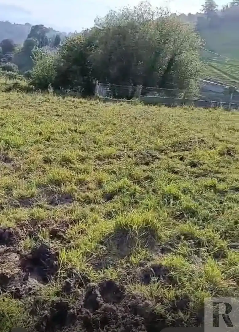 Terreny residencial en venda a Polígono  Parcela, imagen 11