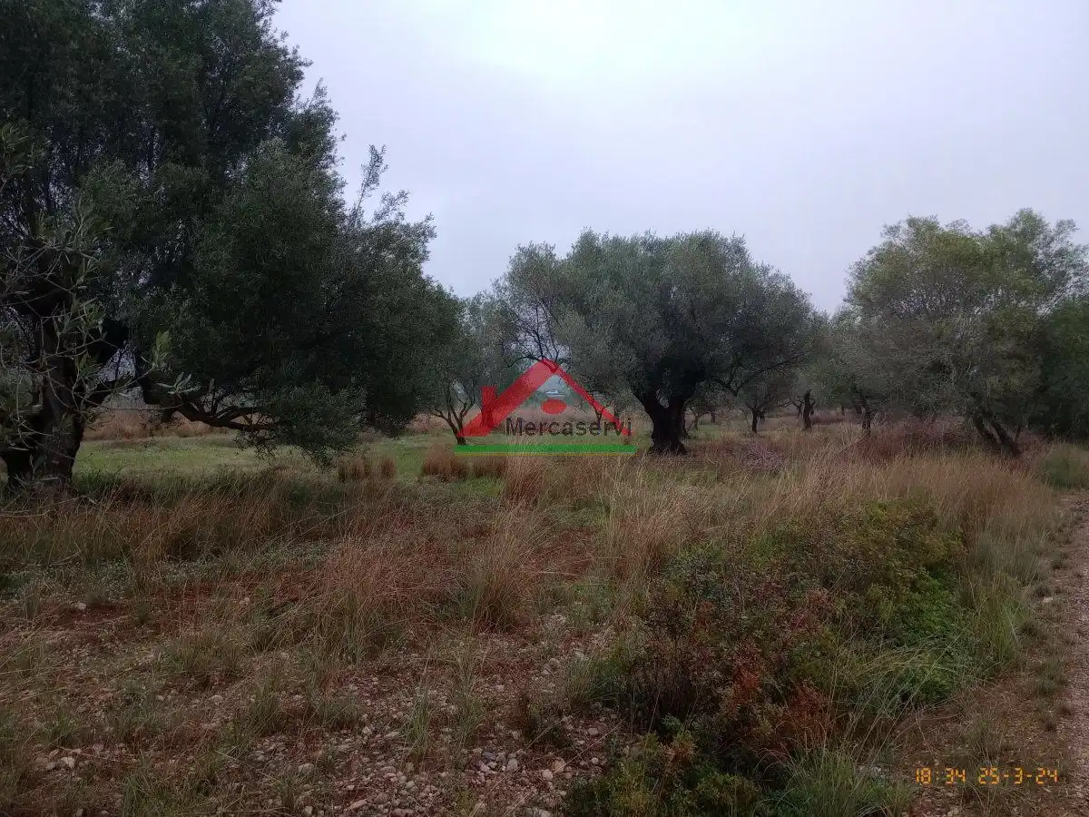 Finca rústica en venta en Vinaròs