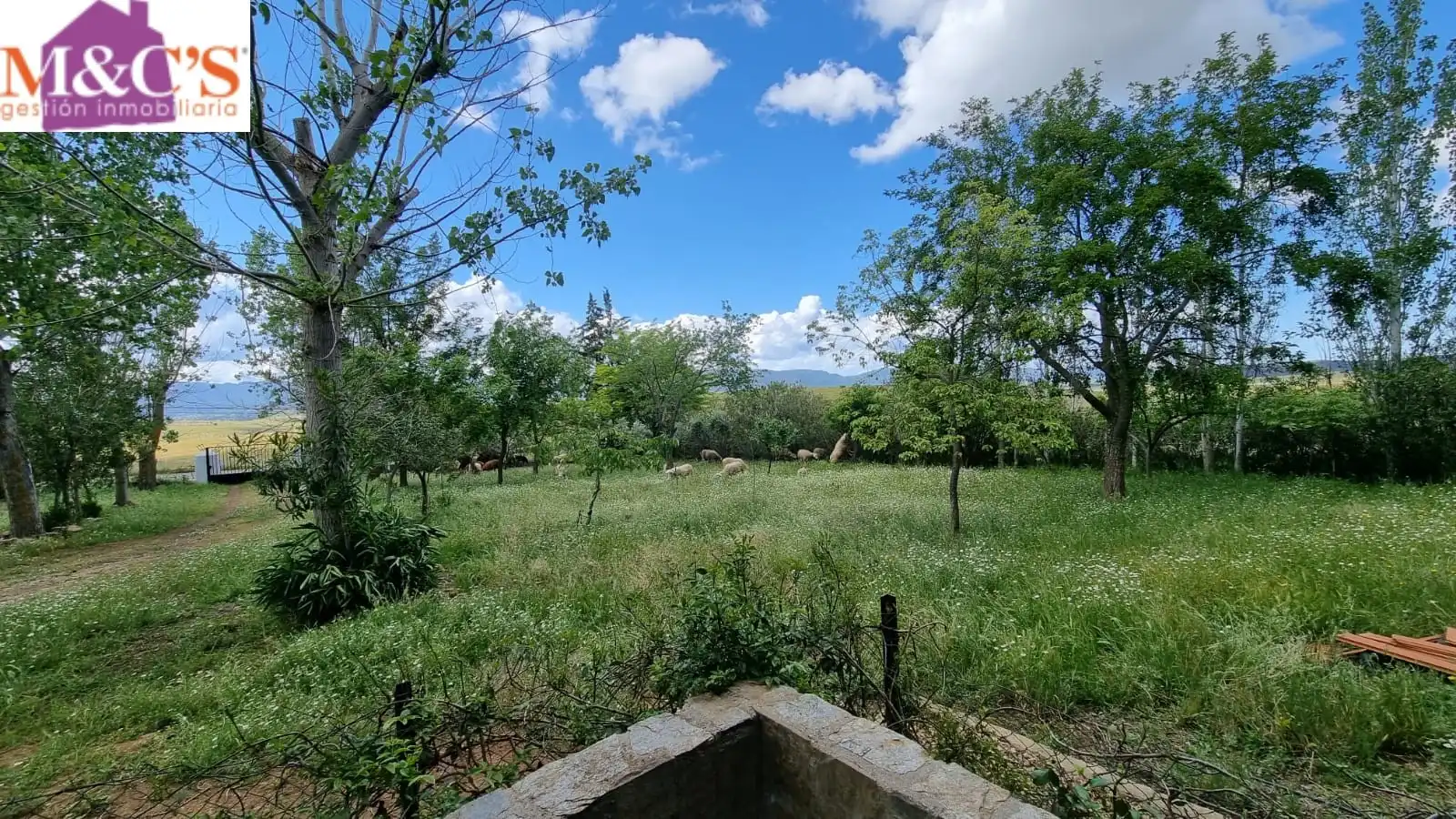 Xalet amb jardí en venda a Cabezarrubias del Puerto, imagen 8