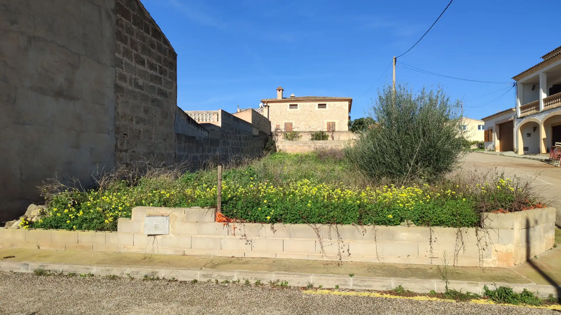Terreny residencial en venda a Carrer d'es Mestre Bauçà 7, imagen 2