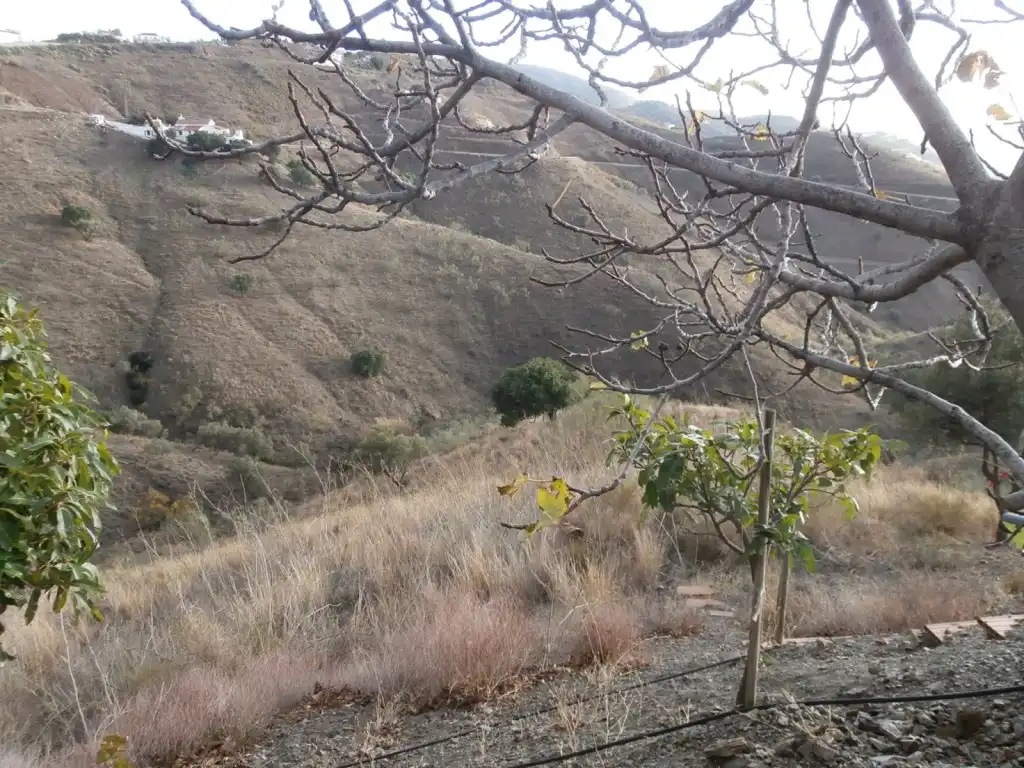 Terrenys i solars en venda a Canillas de Aceituno, imagen 14