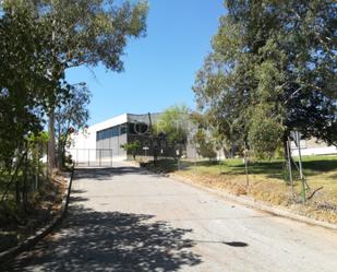 Exterior view of Industrial buildings for sale in Málaga Capital