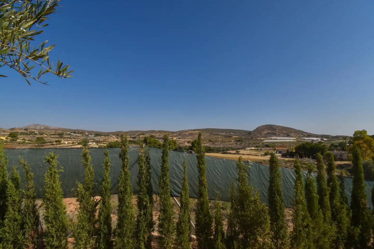 Rustikales Grundstück zum Verkauf in Partida Torrellano Alto, imagen 3