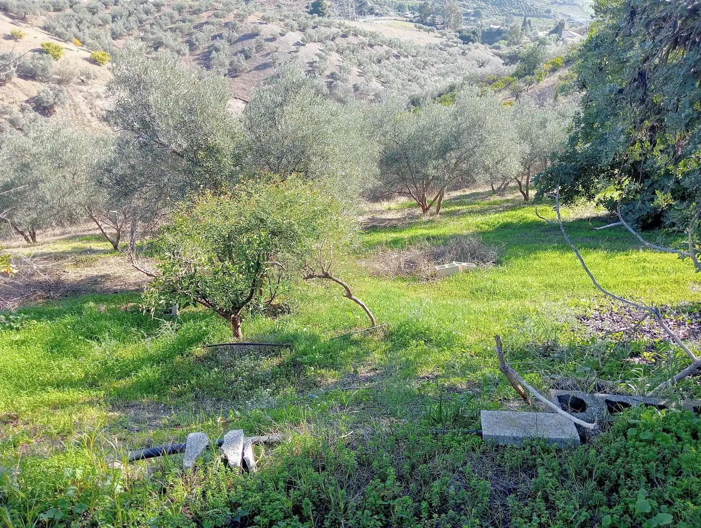 Casa o xalet en venda en Cártama amb Jardí privat, Traster i Piscina