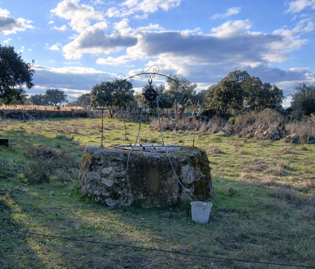 Garden of Land for sale in Plasenzuela