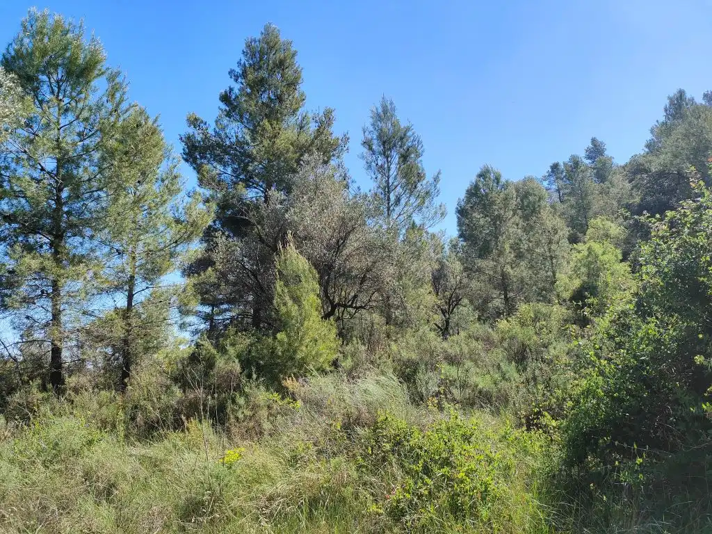 Terreni e lotti in vendita a Calaceite, imagen 7