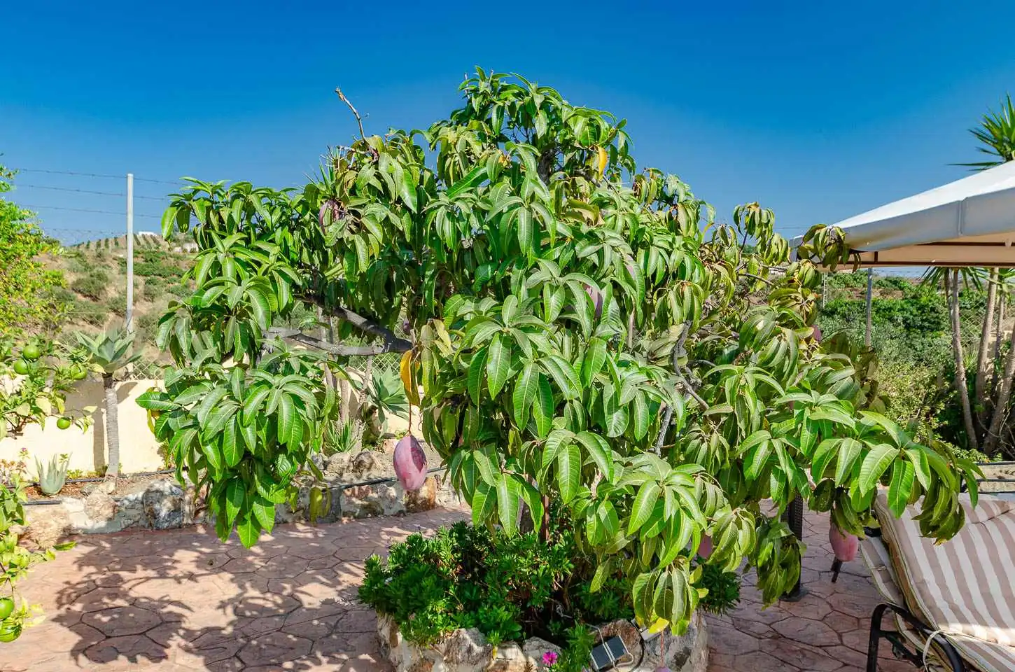 Garten von Country house zum Verkauf in Vélez-Málaga mit Privatgarten, Terrasse und Schwimmbad