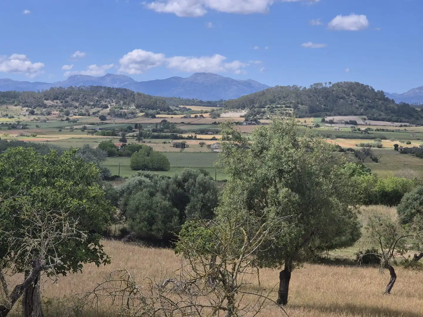 Casa rústica con jardín en venta en Sineu, imagen 16