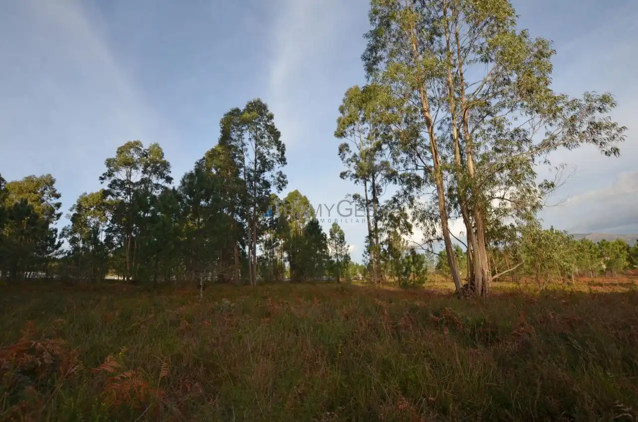 Residential land for sale in LUGAR O MONTE, imagen 39