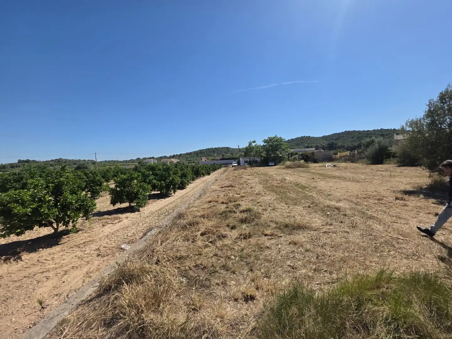 Rural land for sale in Vilamarxant, imagen 5