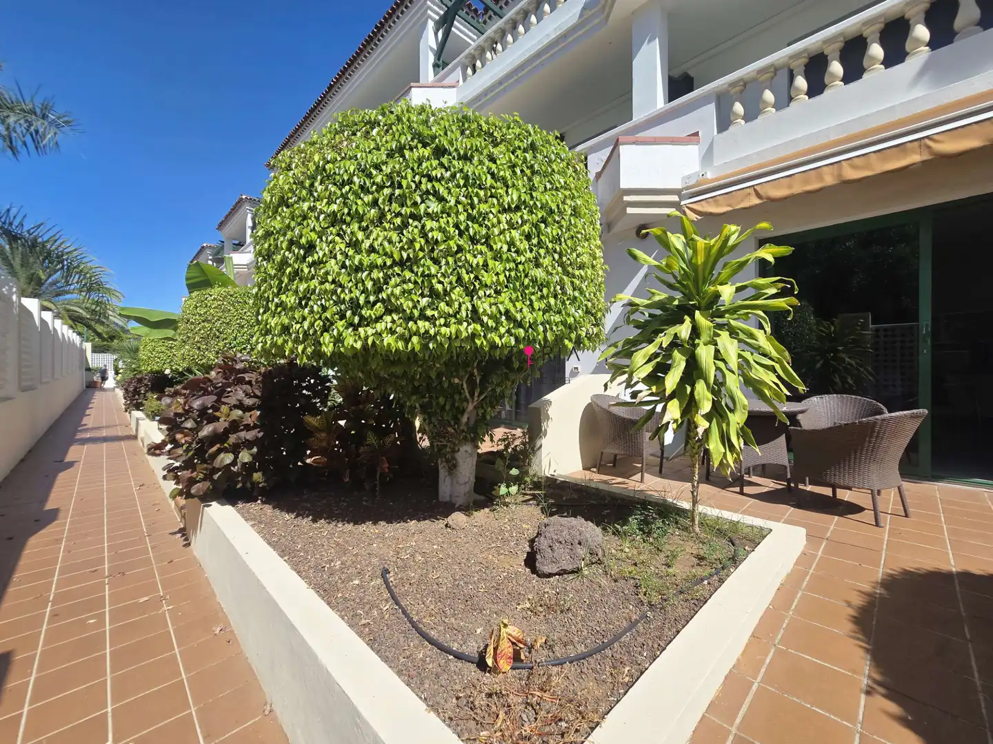 Apartamento con piscina en venta en Zona Botánico, imagen 14