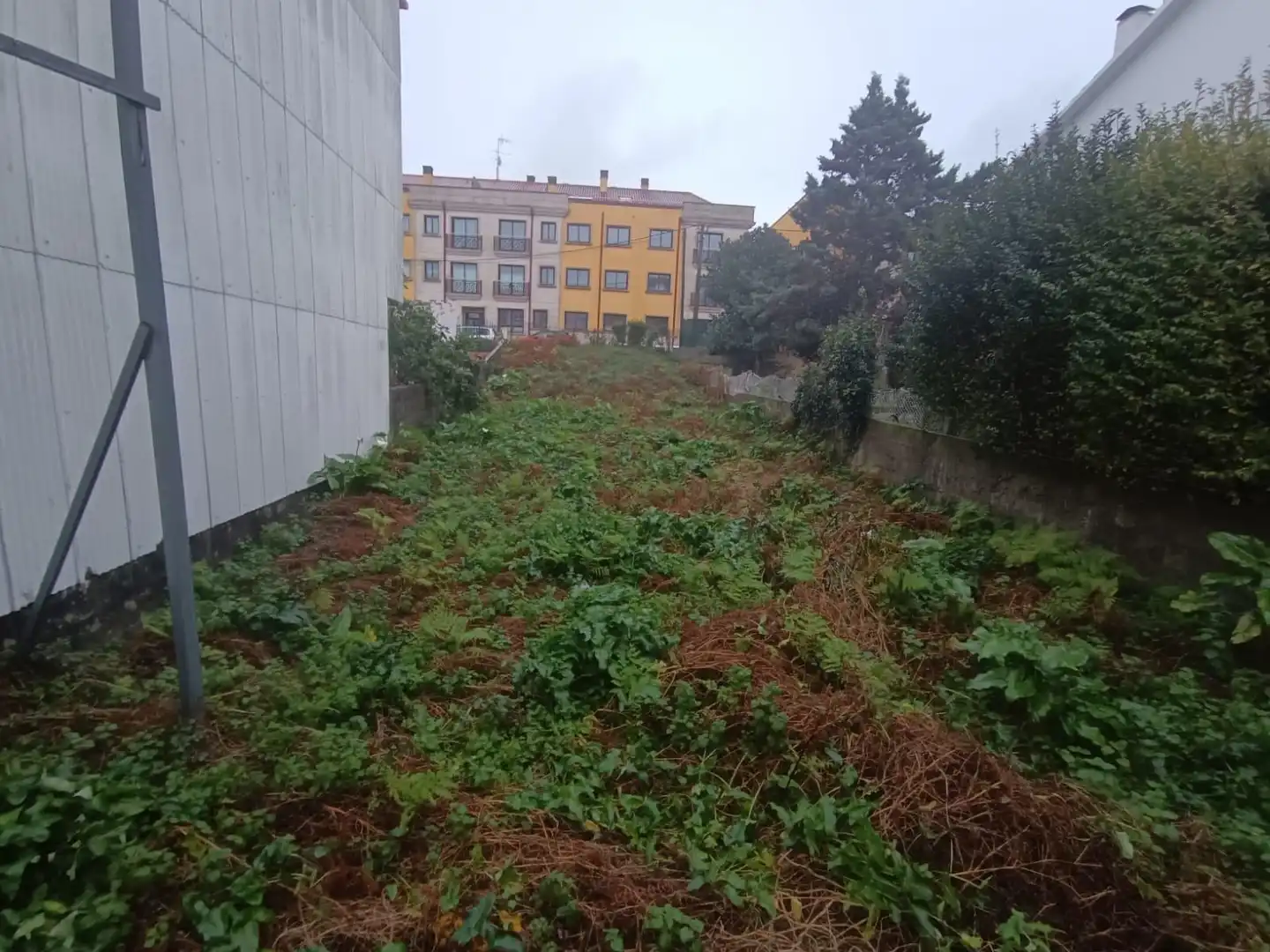 Residential land for sale in de Luis Antonio Mestre, imagen 14