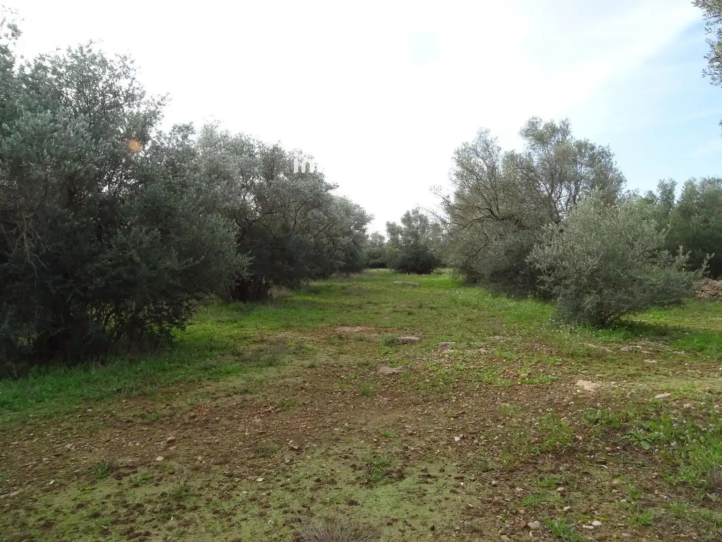 Terrain résidentiel à vendre à 16, imagen 14