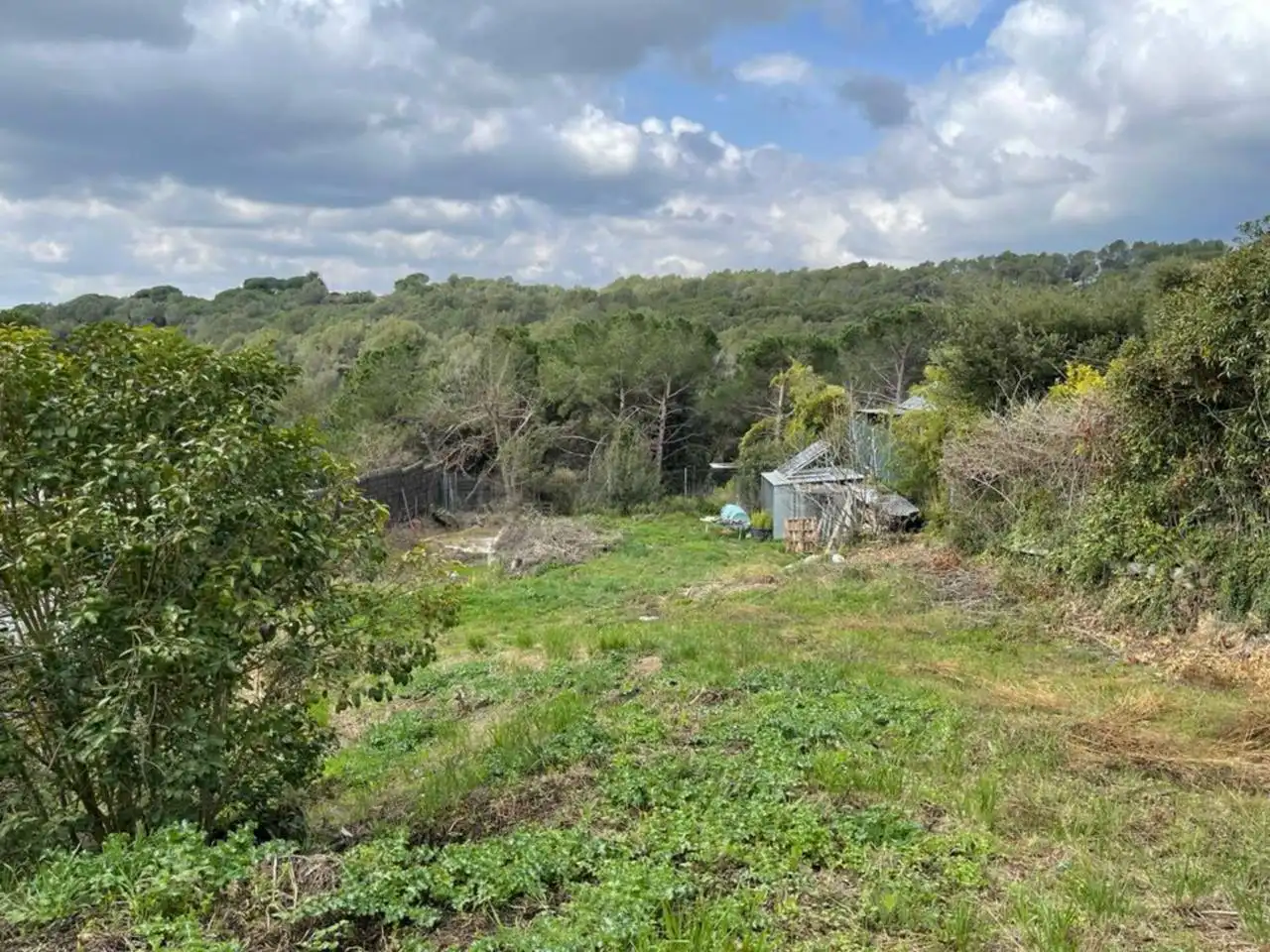 Wohnbaugrundstück zum Verkauf in Calle PLA DELS PINYONS 18, imagen 4