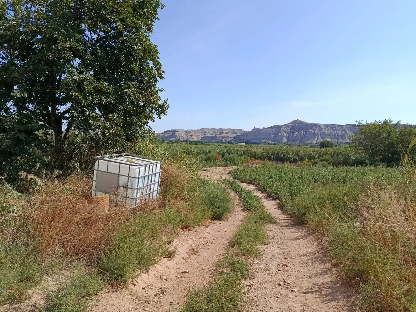 Casa o chalet en venta en Miedes de Aragón
