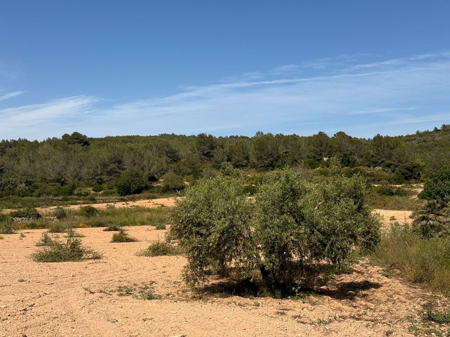 Finca rústica en venda en Vespella de Gaià