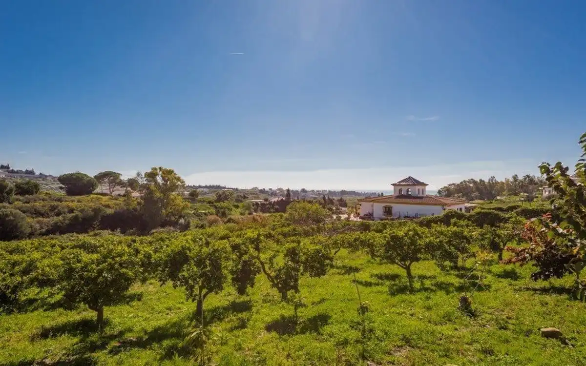 Chalet en venta en Estepona Pueblo, imagen 16
