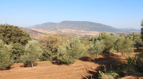 Foto 2 de Terreno en venta en Ca-4223, 18, El Gastor, Cádiz