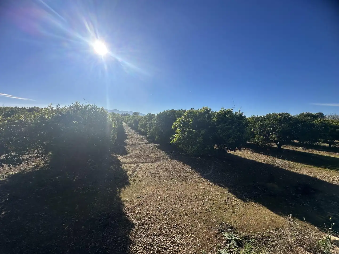 Rural land for sale in Masdenverge, imagen 4