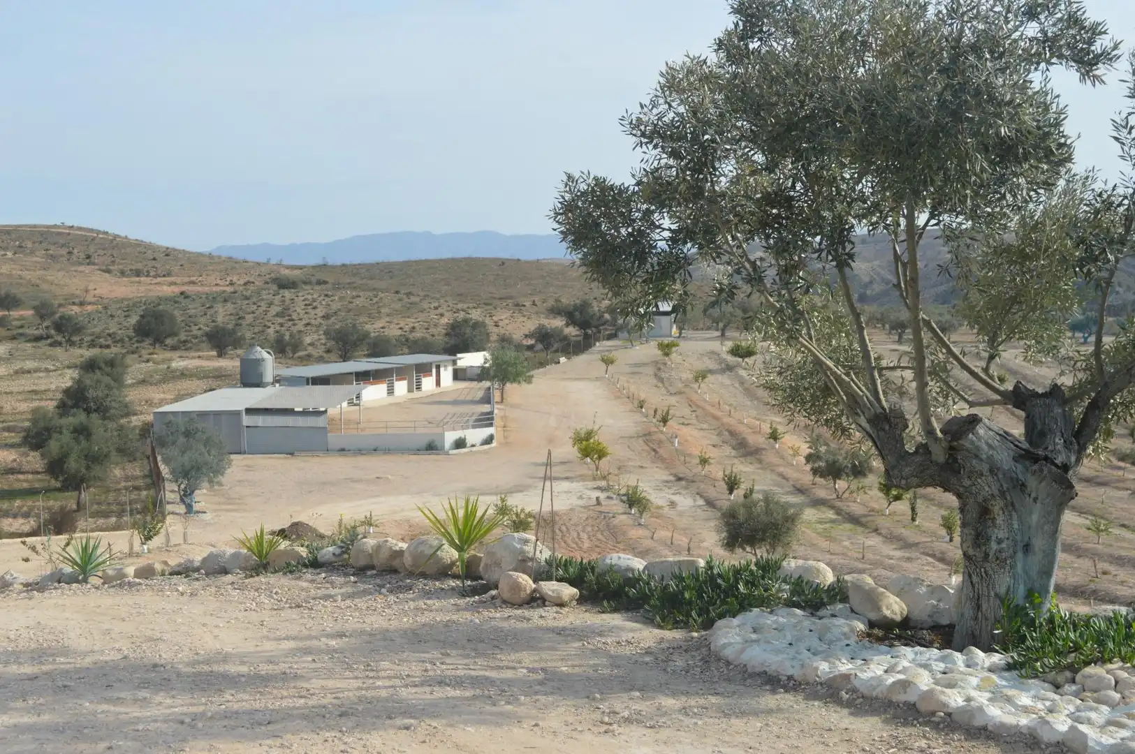Außenansicht von Residential zum Verkauf in Las Torres de Cotillas