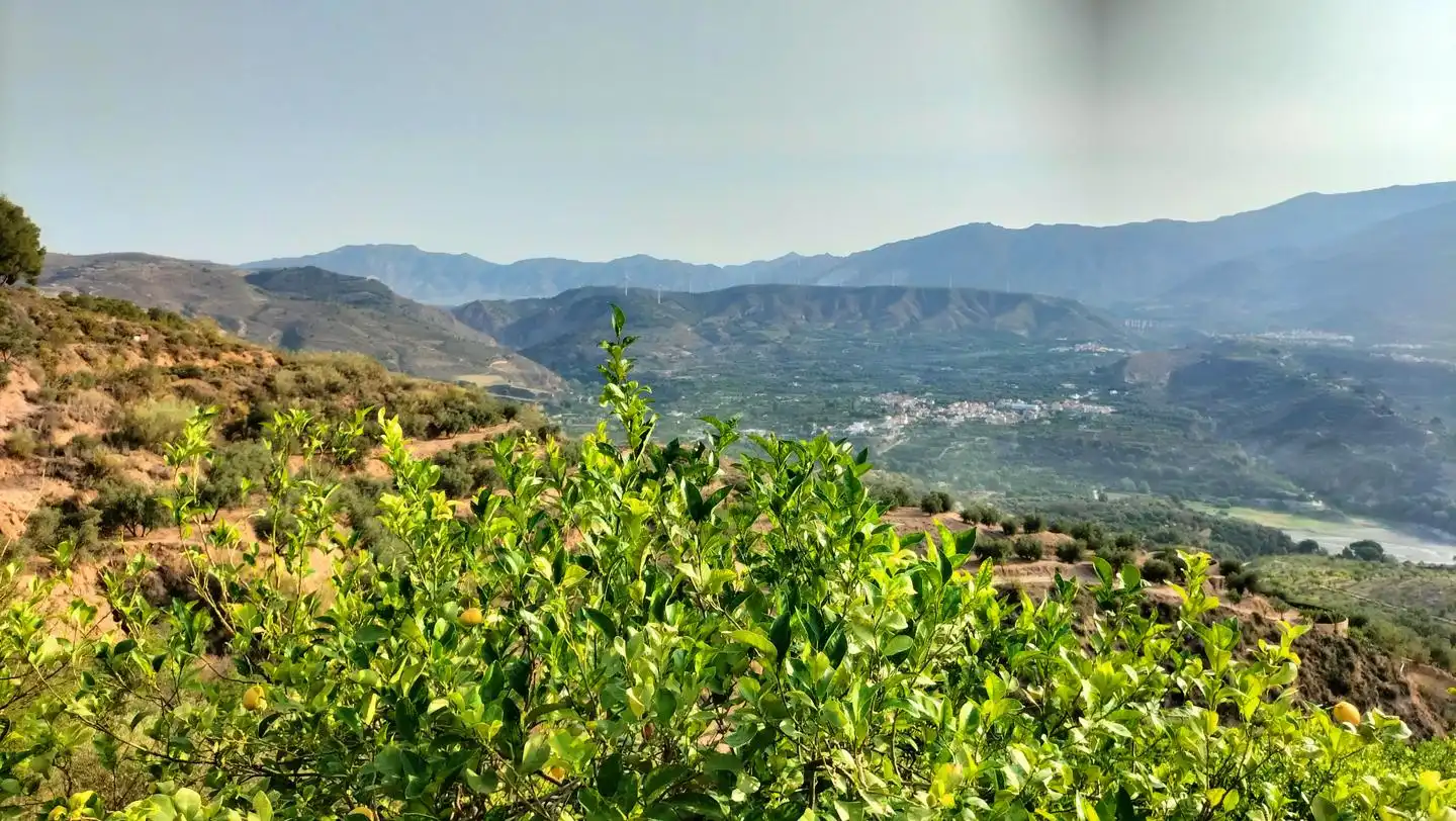 Casa rustica in vendita a El Valle, imagen 5