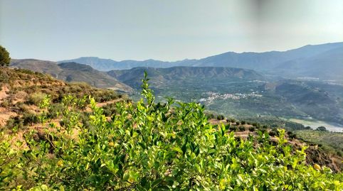 Finca Rúst. en venta en El Valle., immagine 5