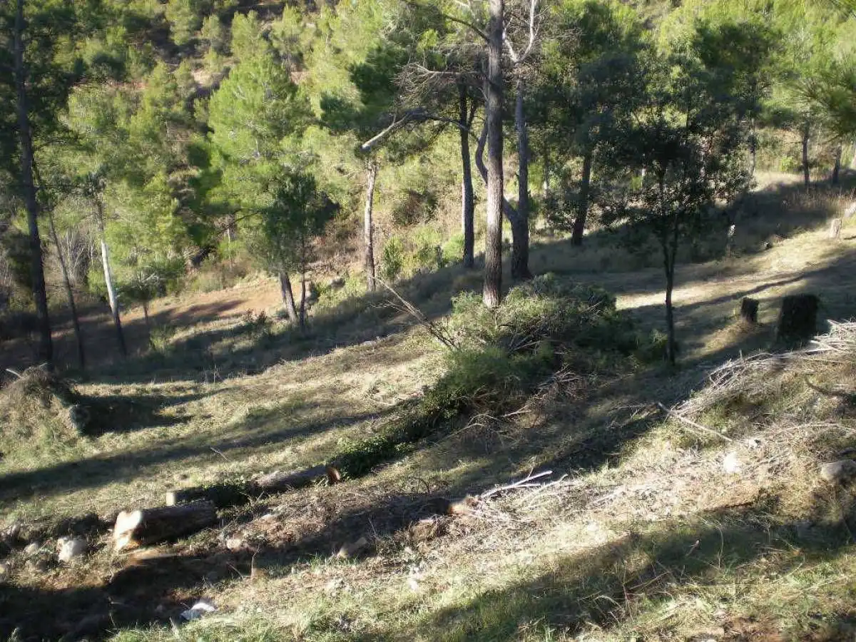 Terrenys i solars en venda a Castellnou de Bages