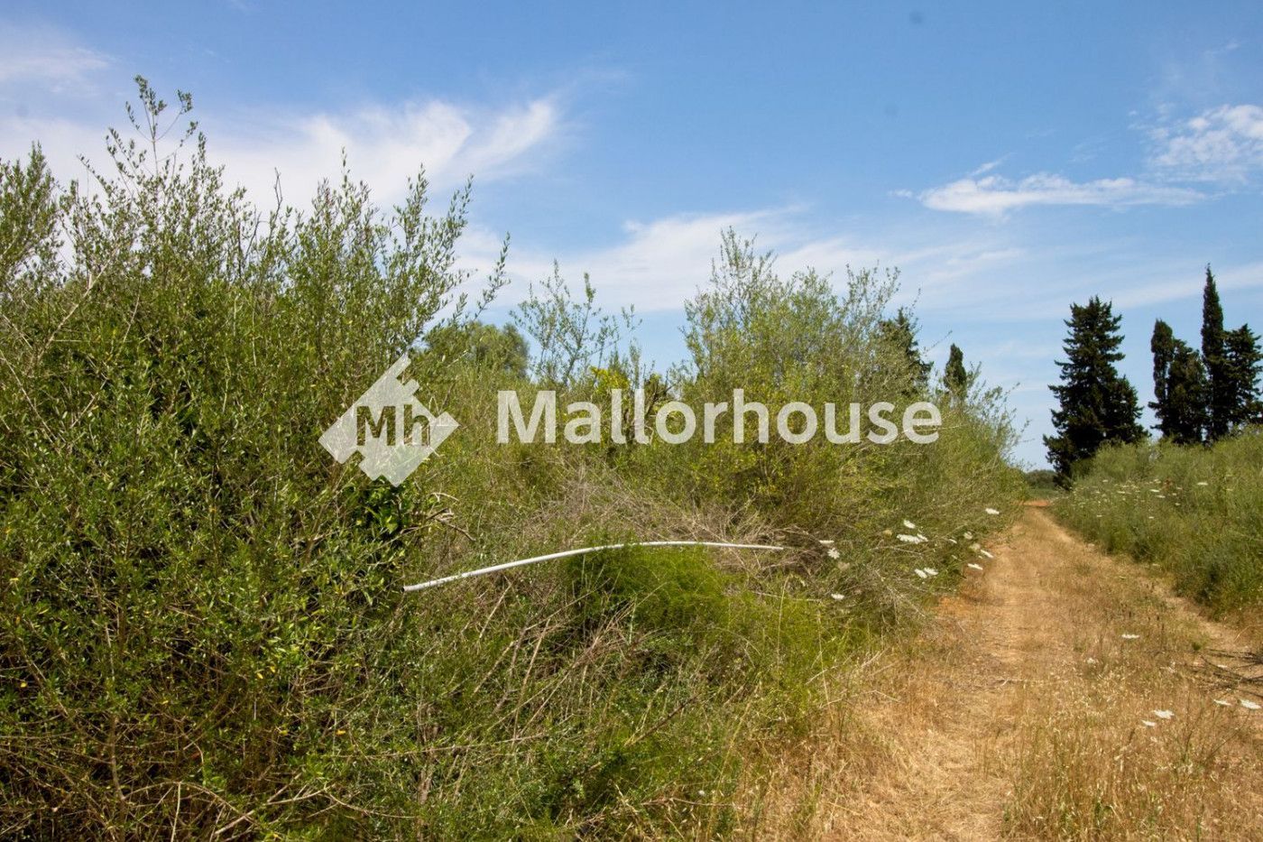 Finca rústica en venta en Muro