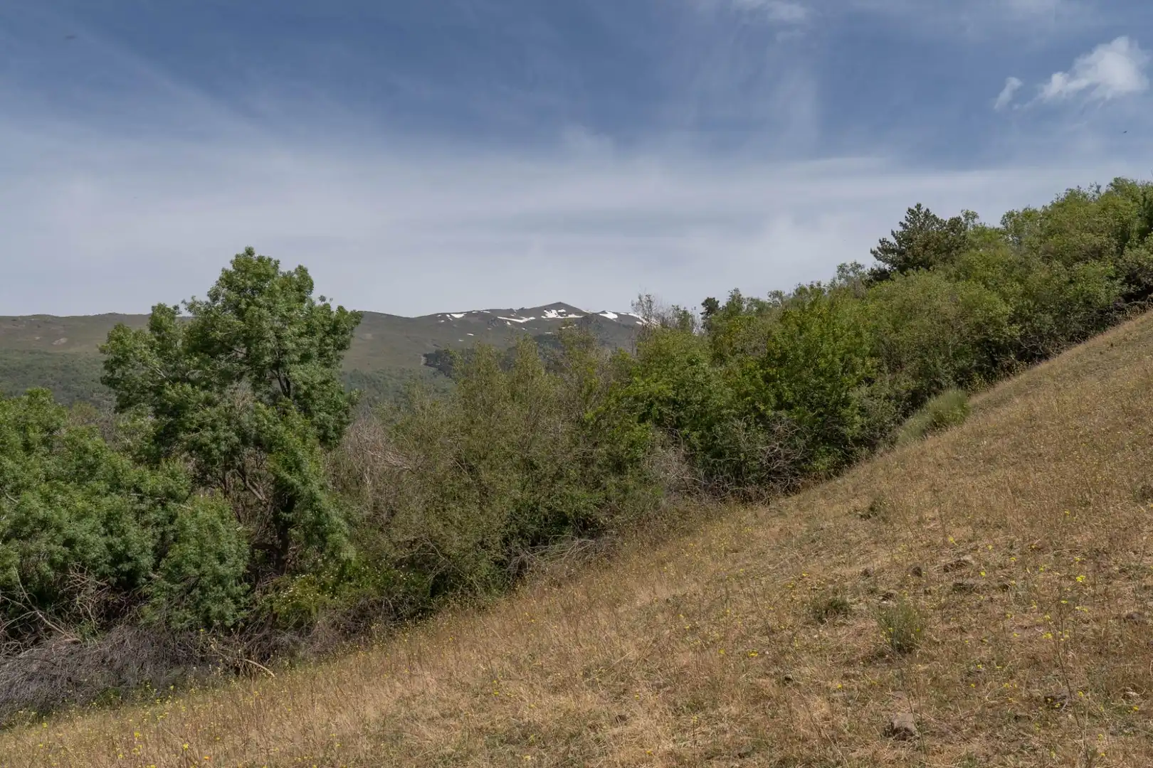 Terreno en venta en Soportújar