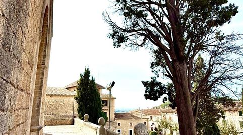 Immagine 3 dell'annuncio