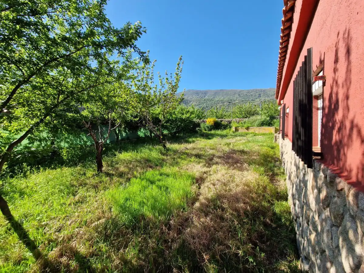 Jardí de Casa o xalet en venda en Casas del Castañar amb Terrassa i Traster