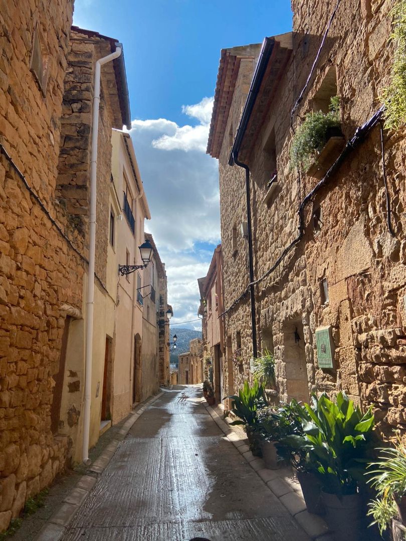 Vista exterior de Casa o chalet en venta en El Vilosell con Balcón