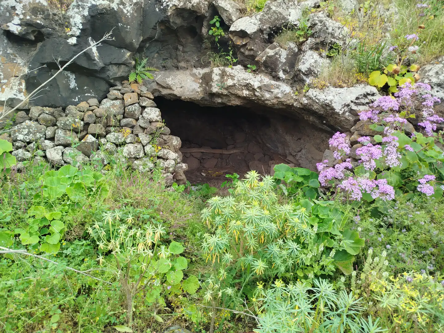 Terrain rustique à vendre à Calle Melian 6, imagen 8