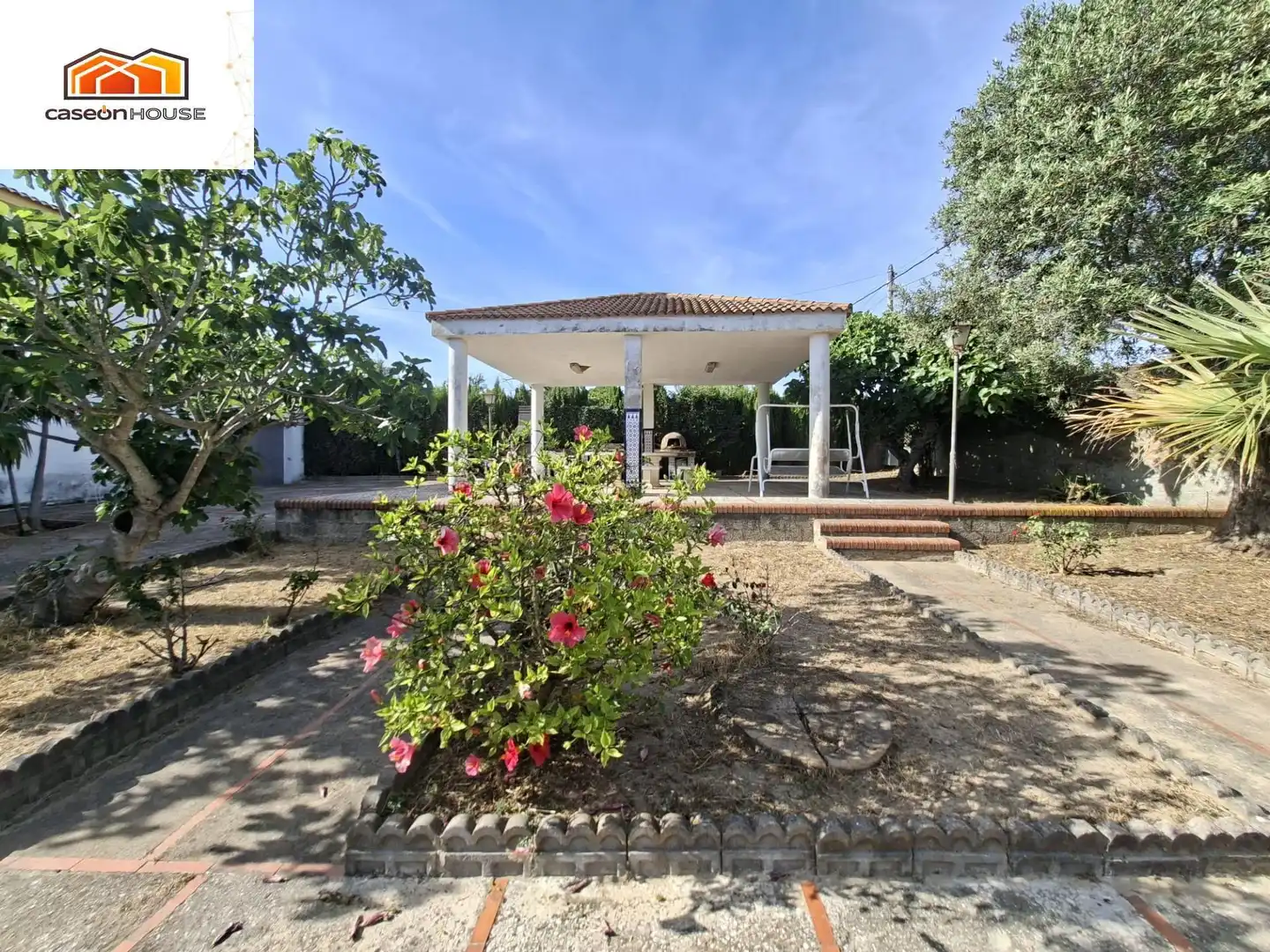 Jardín de Casa o chalet en venta en Chiclana de la Frontera con Terraza y Piscina comunitaria