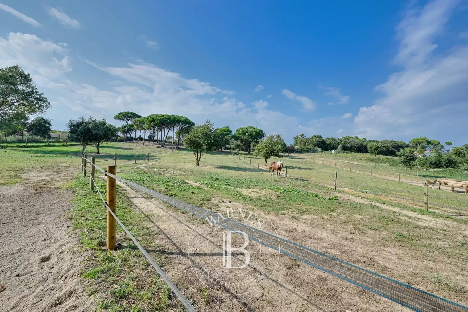 Country homes for sale in Montbarbat