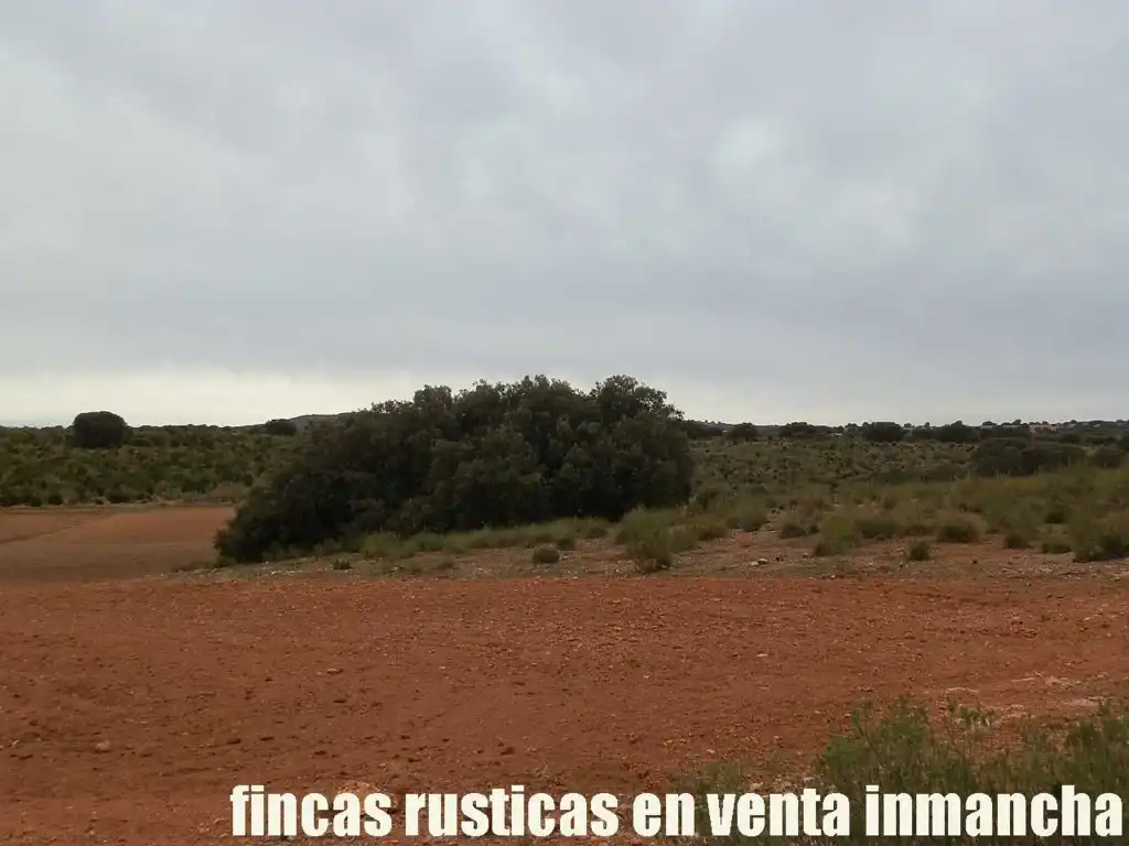 Terreny rústic en venda a Calle Albacete 10, imagen 15