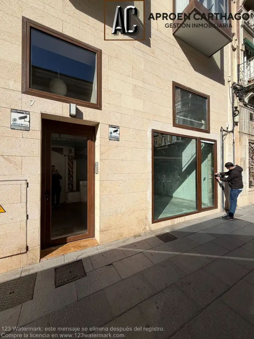 Gewerbefläche zum Verkauf in Calle Campos, imagen 2