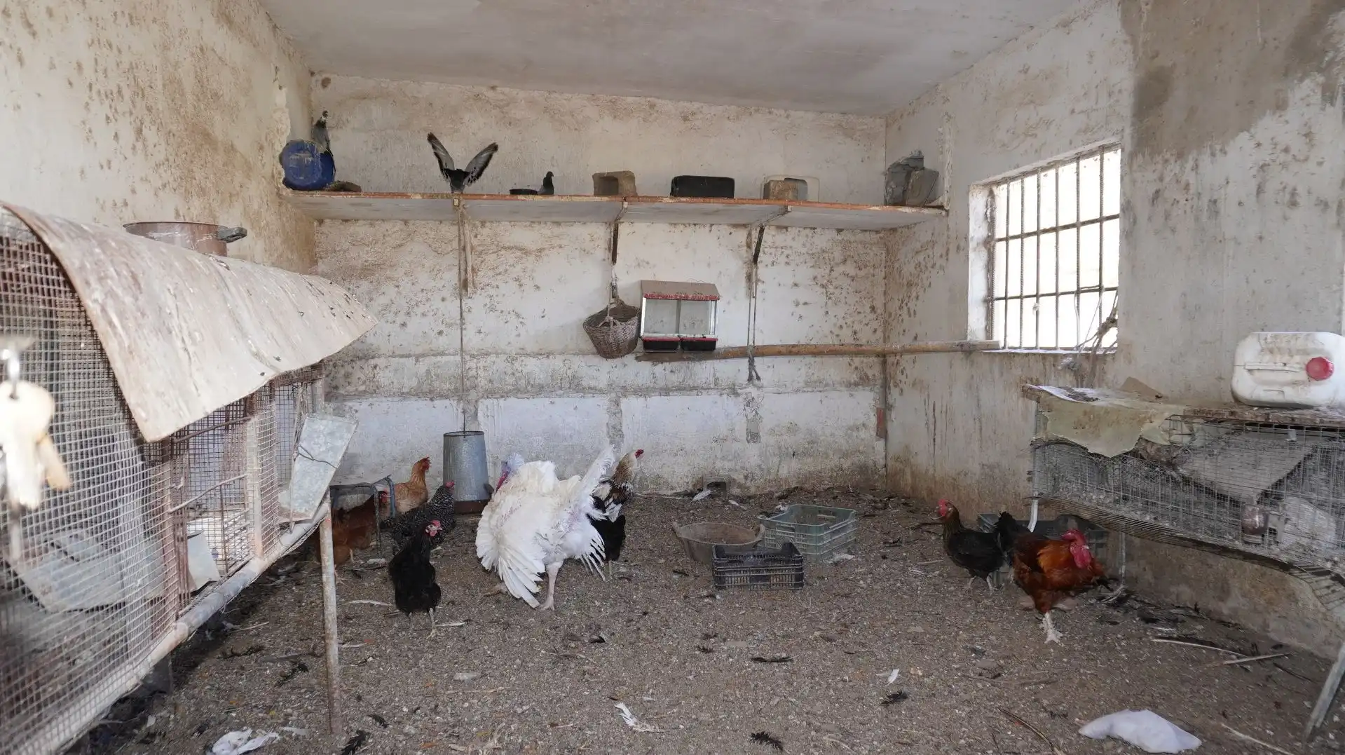 Casa rústica en venda a Los Tablones, imagen 17