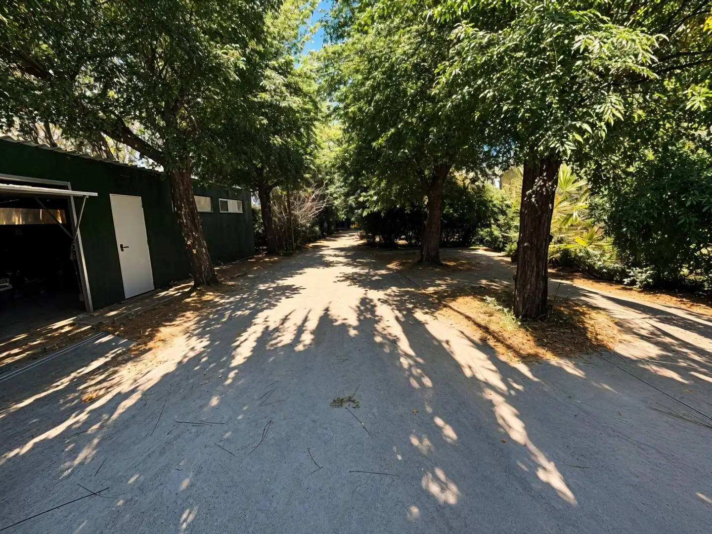Vista exterior de Finca rústica en venda en Carcaixent amb Aire condicionat, Calefacció i Jardí privat