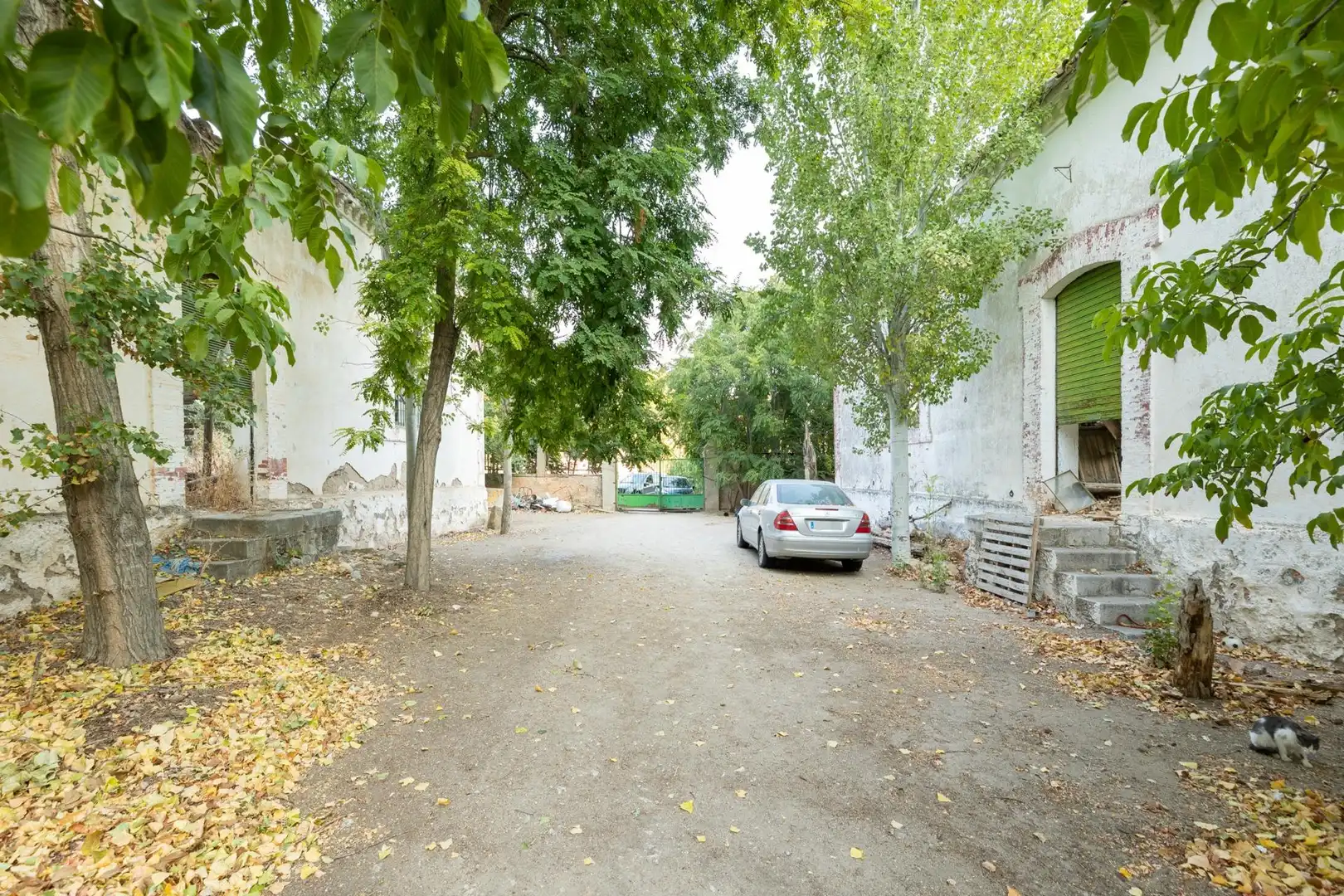 Exterior view of Residential for sale in Iznalloz