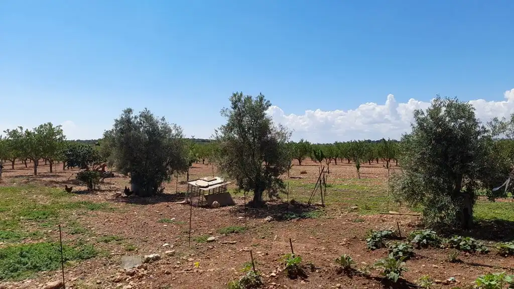 Finca rústica en venta en Munera