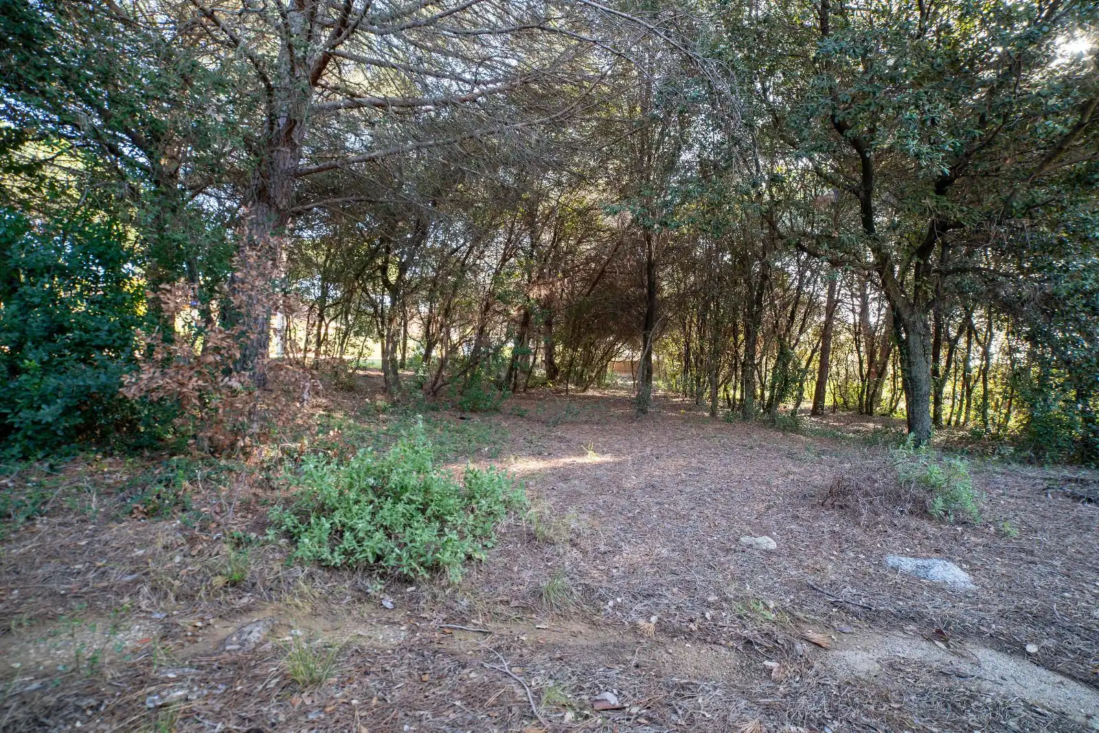 Terreny residencial en venda a Joaquima Mas, imagen 9