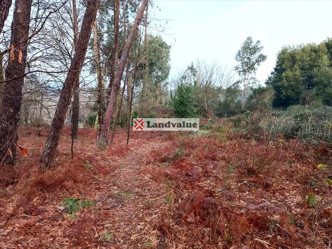 Rural land for sale in Polígono 166, Parcela 65, imagen 11