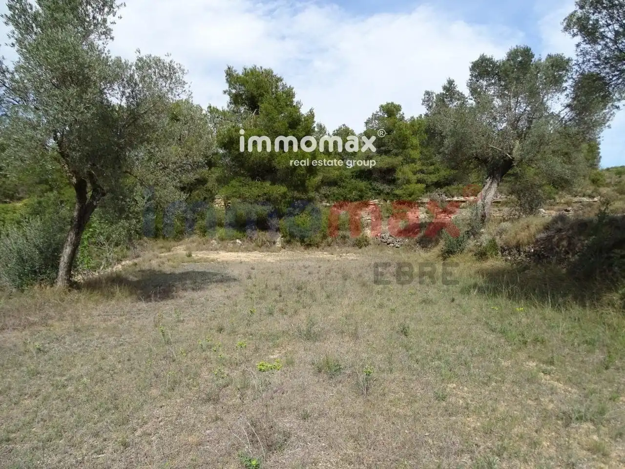 Villa à vendre à Batea, imagen 5