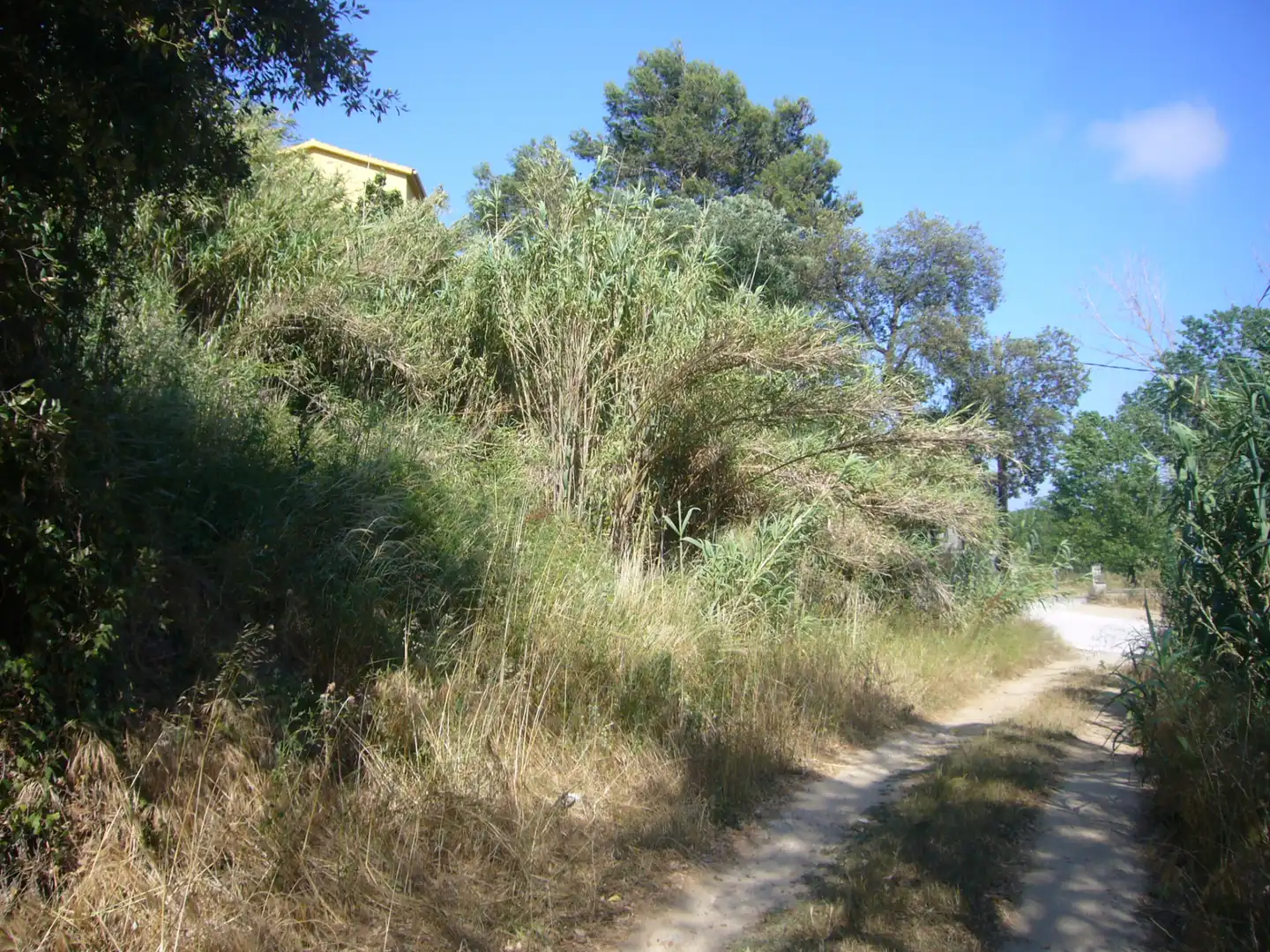 Residential land for sale in Avinguda dels Arbres, imagen 3