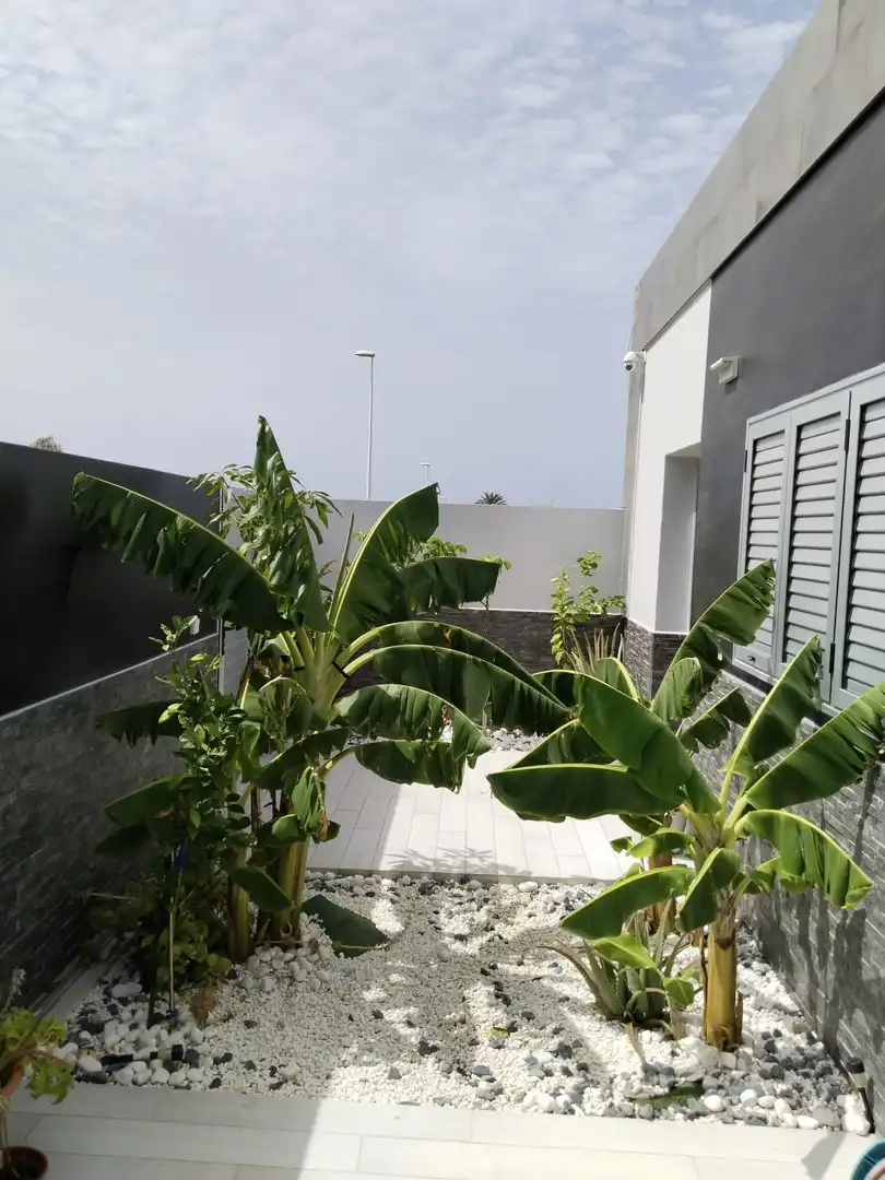 Houses for sale in Gran Tarajal