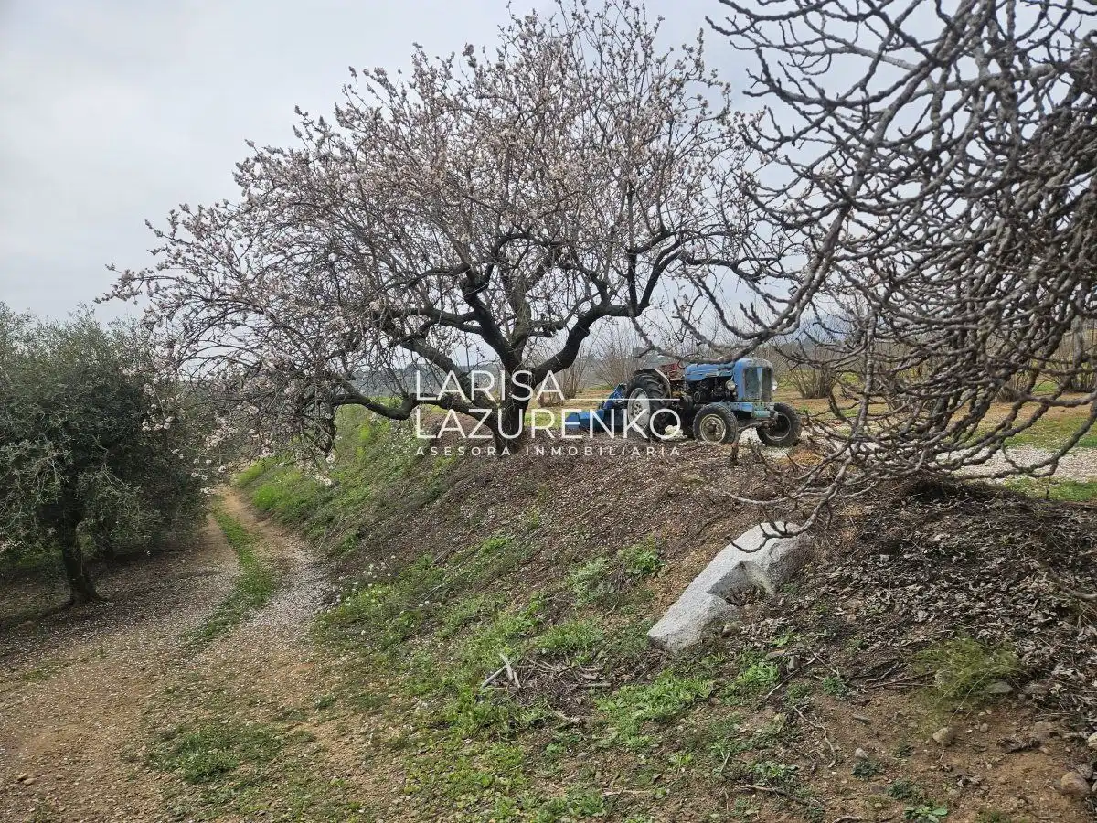 Finca rústica en venda en Riudoms