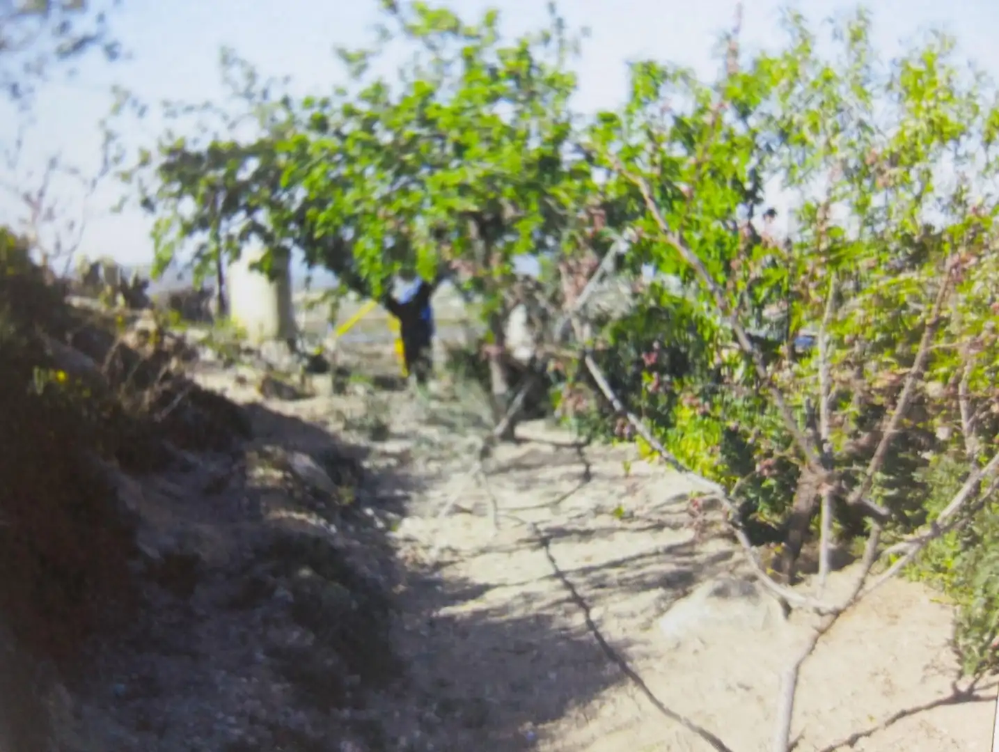 Residential land for sale in Avenida CEHEGIN, imagen 4
