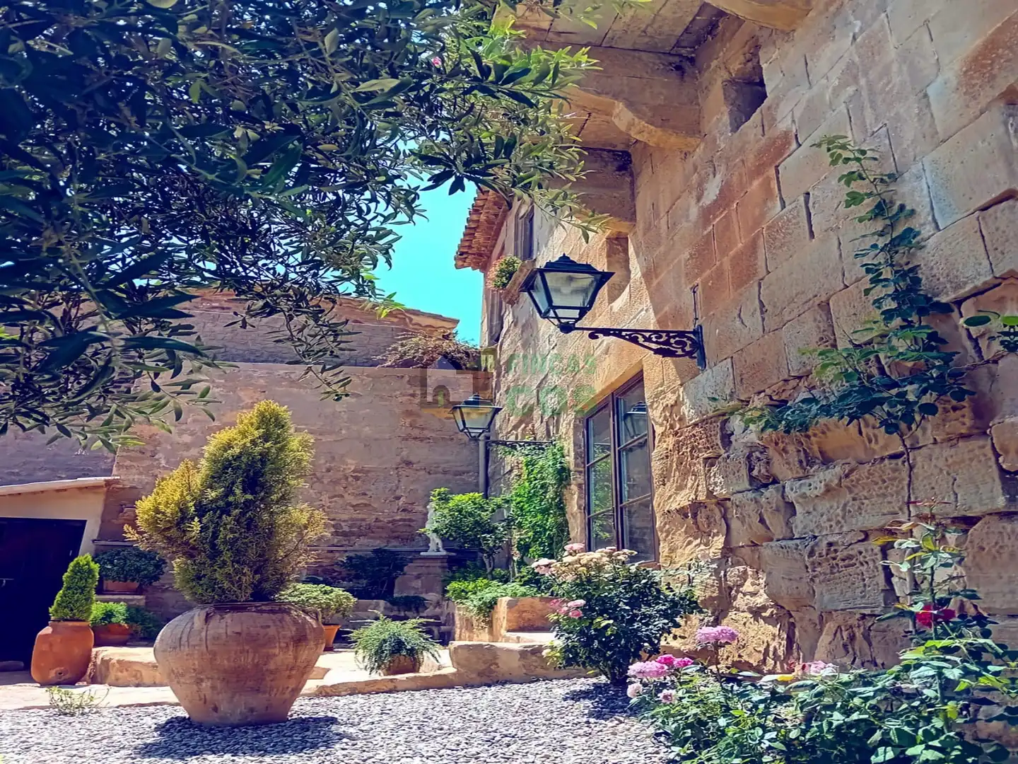Vista exterior de Casa o chalet en venta en Cervera con Jardín privado, Terraza y Piscina